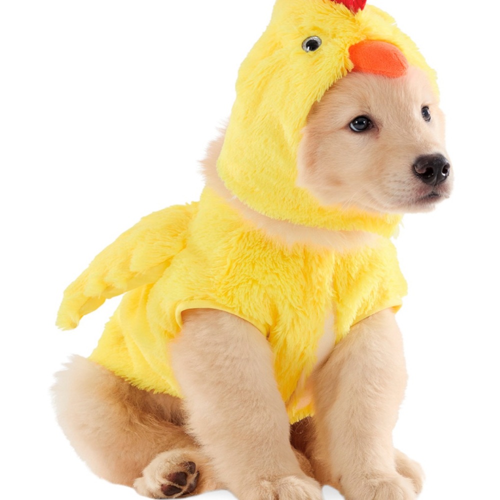 Cozy Canine Yellow Chicken Costume